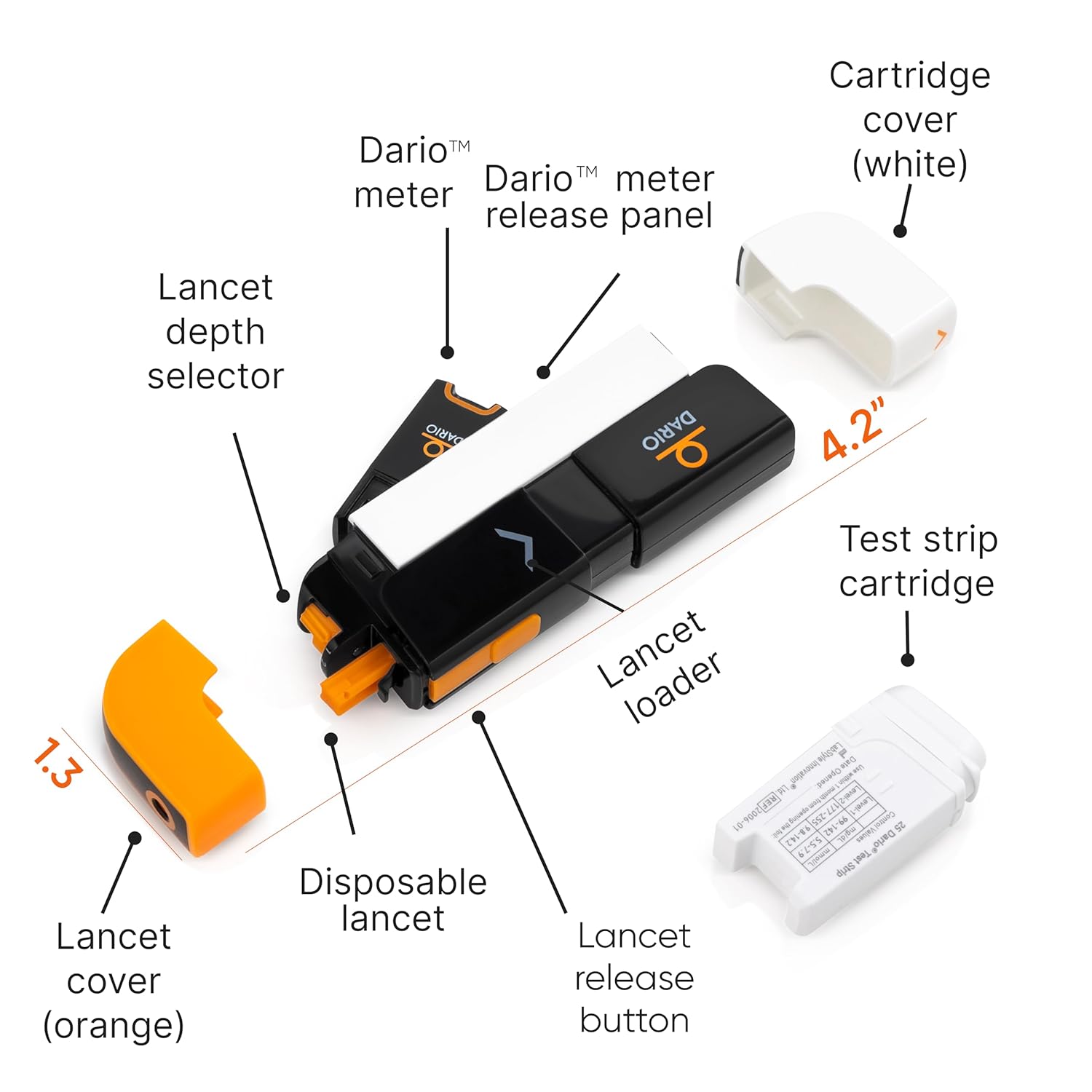dario bg with labeled parts on a white background